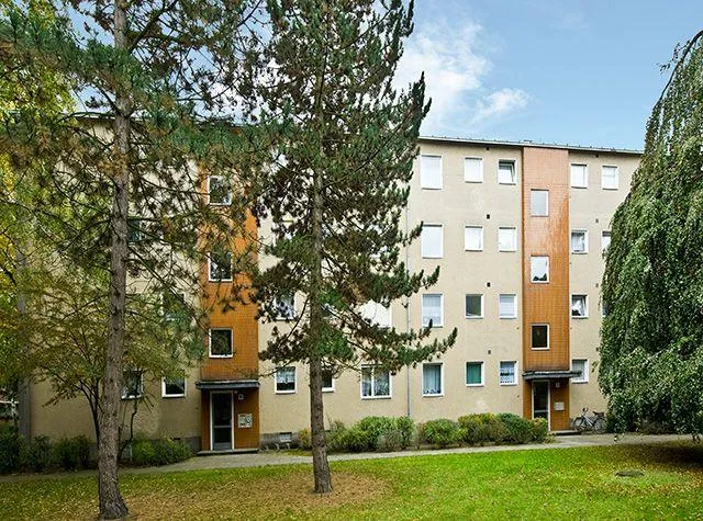 Preisgünstige 3-Zimmer-Wohnung — photo 1